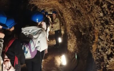 Izvanučionička nastava na Medvednici