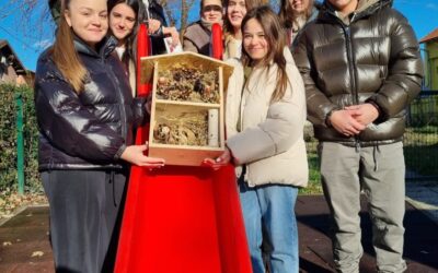 „Kukci dobili nove adrese — zahvaljujući našim kreativcima“